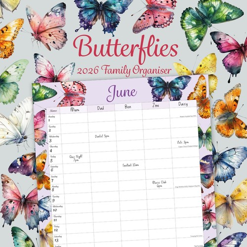 Butterflies illustrated family - butterflies,