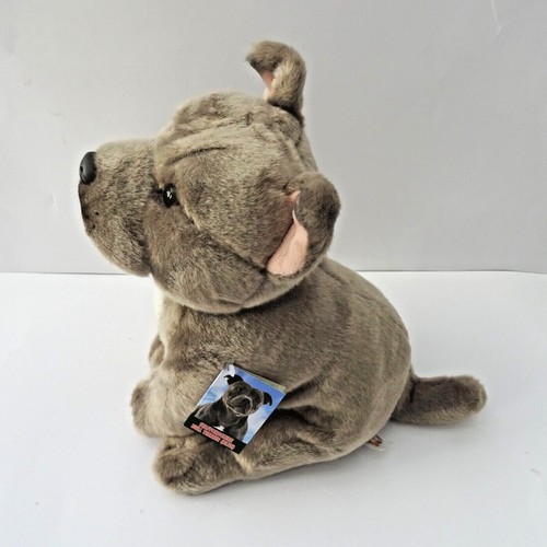 Amstaff staffie staffordshire - staffie,
