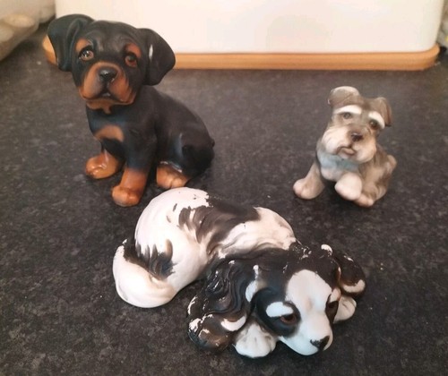 Hhh dog figures rottweiler - hhh,