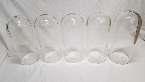 Job lot glass dome bell - job,