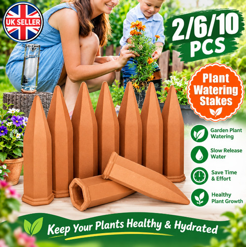 10pcs terracotta plant - terracotta,