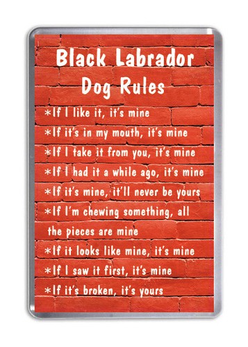 Black labrador dog rules - black,