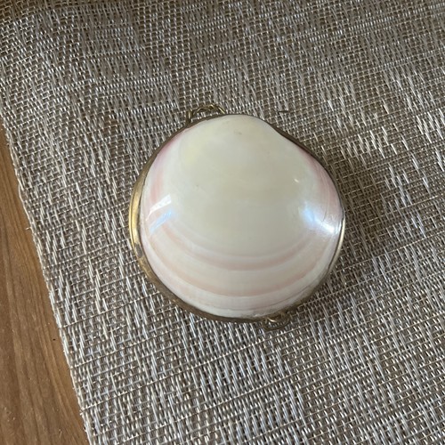 Vintage clam sea - clam, shell