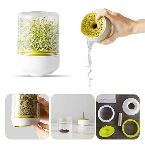 Seed sprouter bean sprouts - bean,