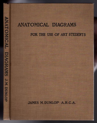 Vintage anatomical diagrams - vintage,