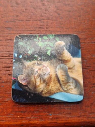 Ginger cat magnet - ginger,
