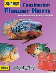 Flower horn faszination - horn,,