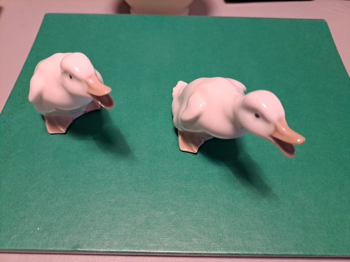 Nao pair ducklings - nao,