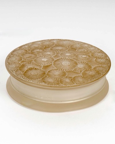 Daisies box white - , patinated