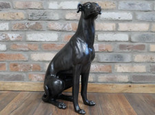 Sitting whippet dusk grey dog