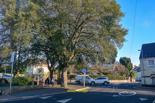 Photo 12x8 exmouth - 12x8,