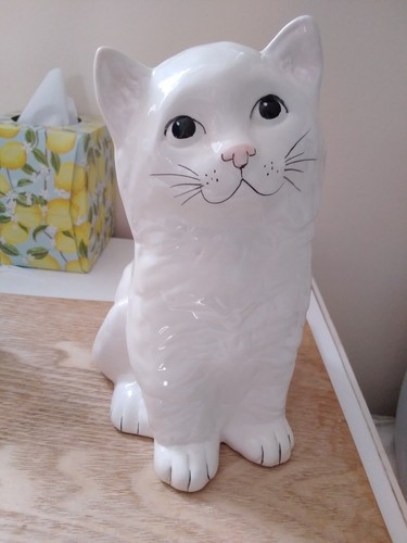 Large persian white cat