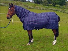 Sheldon Full Neck Combo 250g