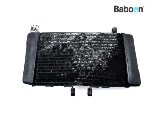 Radiator honda 650 - honda, nt