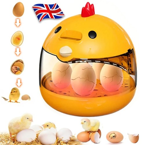 Egg incubator hatching machine - egg,