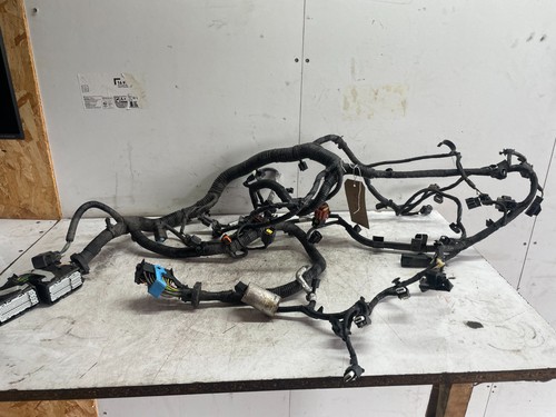 Ford kuga engine - engine, loom