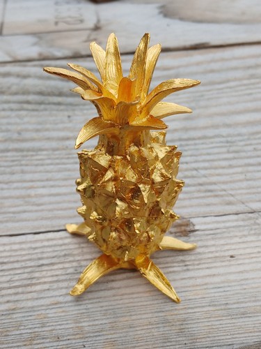 Risis ornamental pineapple - ornamental,