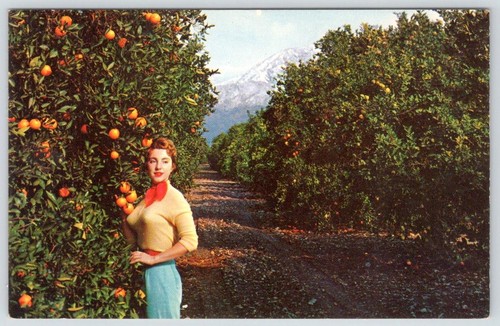 1940 pointy bra tight - 1940-50's,