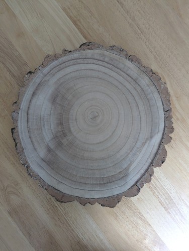 Rustic log slice - slice,