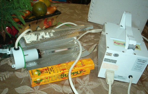 Agrostar ballast with lamp - agrostar,