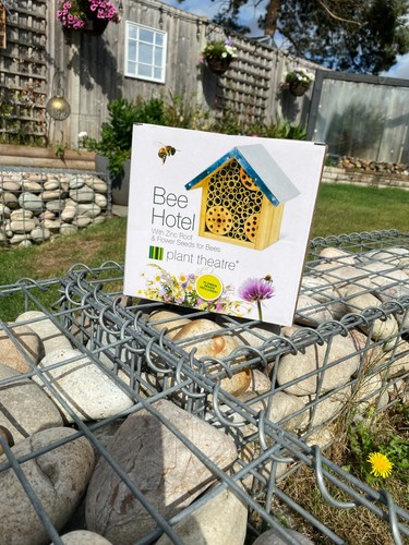 Bee hotel for bees insects - &,