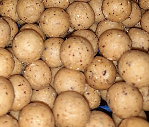 20kg c3ll tigernut boilies - 20kg, &