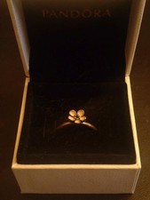 Brand New In Box Pandora