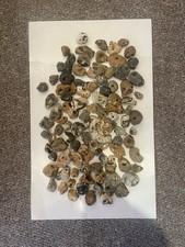 100 Natural Hag Stones Wicca