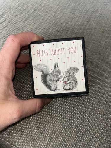 Nuts about you - about, squirrel