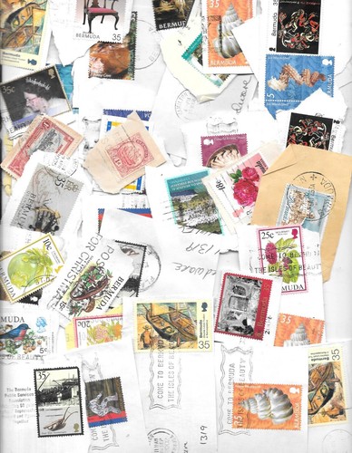Bermuda large paper good - bermuda,