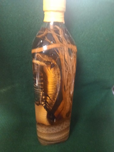 Cobra snake and - snake,
