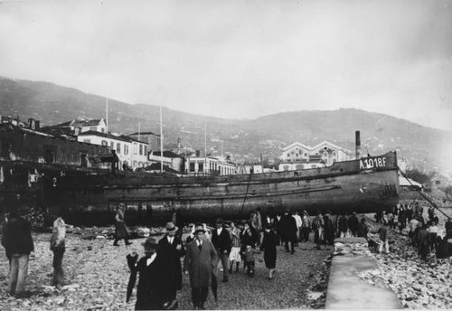 Large barge which was driven