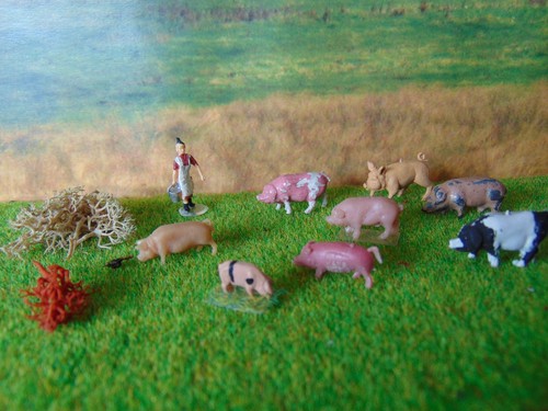 Model railway pigs - model, &