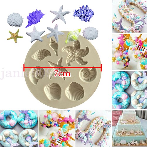 Sea shells animals fish - shells,