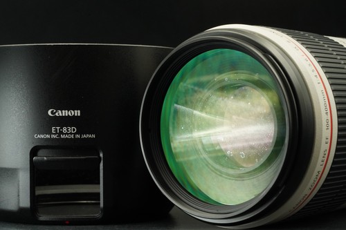 Canon 100 400mm 5 - canon, 100-400mm