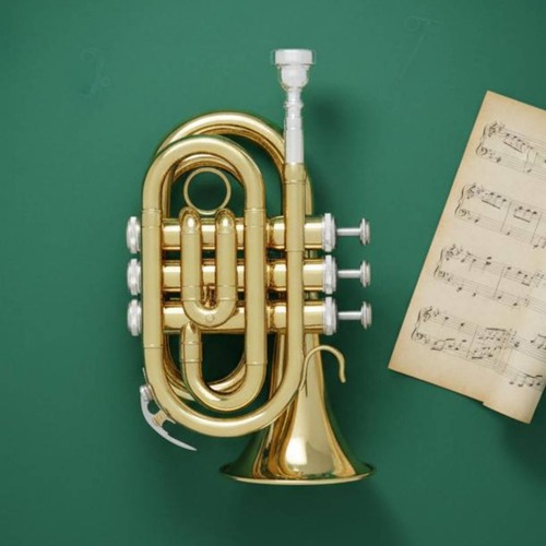 Brass palm trumpet portable - palm,