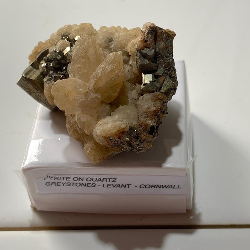 Pyrite with quartz exquisite - with,