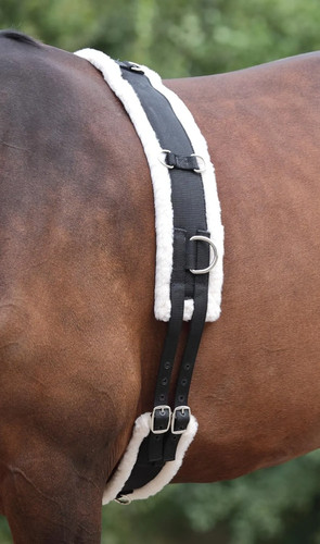 Shires nylon lunging roller - shires,