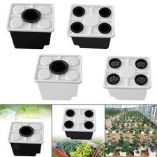 Hydroponic container for - for, plant