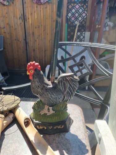 Rooster cockerel chicken hen - /,
