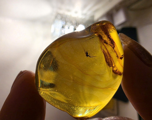 Multi inclusion baltic amber - baltic,