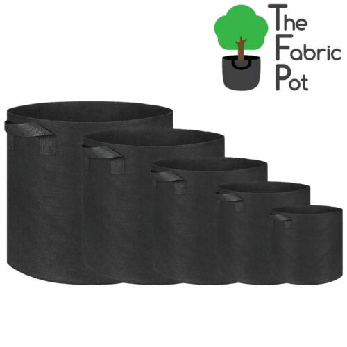 The fabric pot - the,