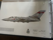 Squadron Print no 311 Tornado