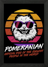 Coolest Dog Pomeranian Framed