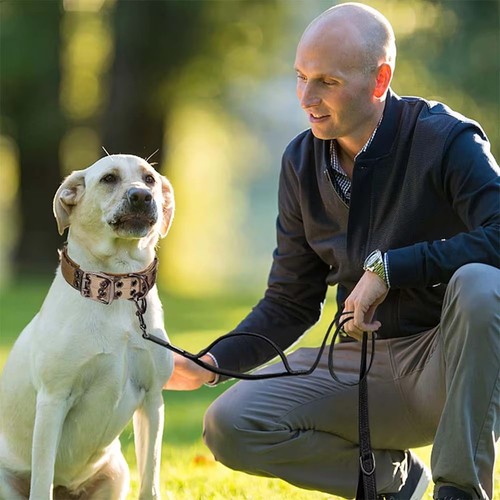 Heavy duty double - heavy, buckle