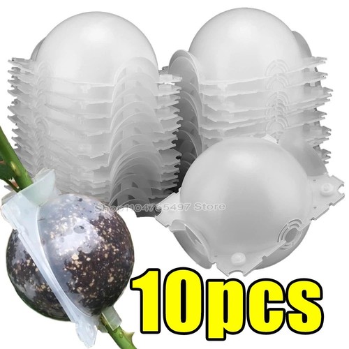Plant rooting ball air - rooting,