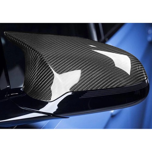Wet carbon fibre wing - 2x,