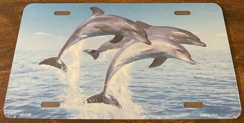 Dolphins novelty license - novelty, plate
