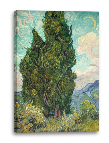 Canvas frames vincent van - canvas/frames,