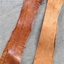 Real Ostrich Legs Leather Skin